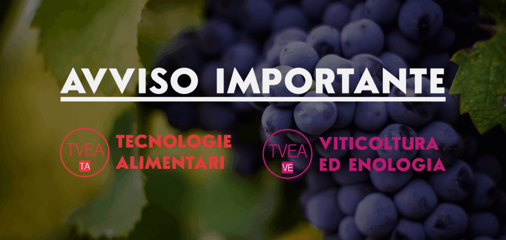 TVEA: aggiornamento sulle sessioni di laurea