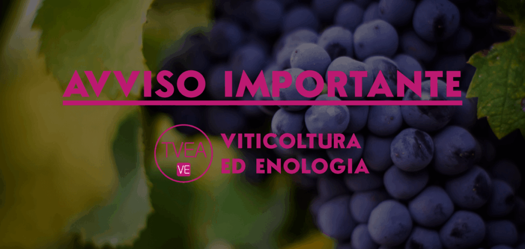 TVEA-VE: seminario “Il ruolo del Suolo nell’effetto Terroir”